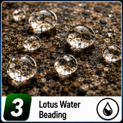 Lotus Water Beading