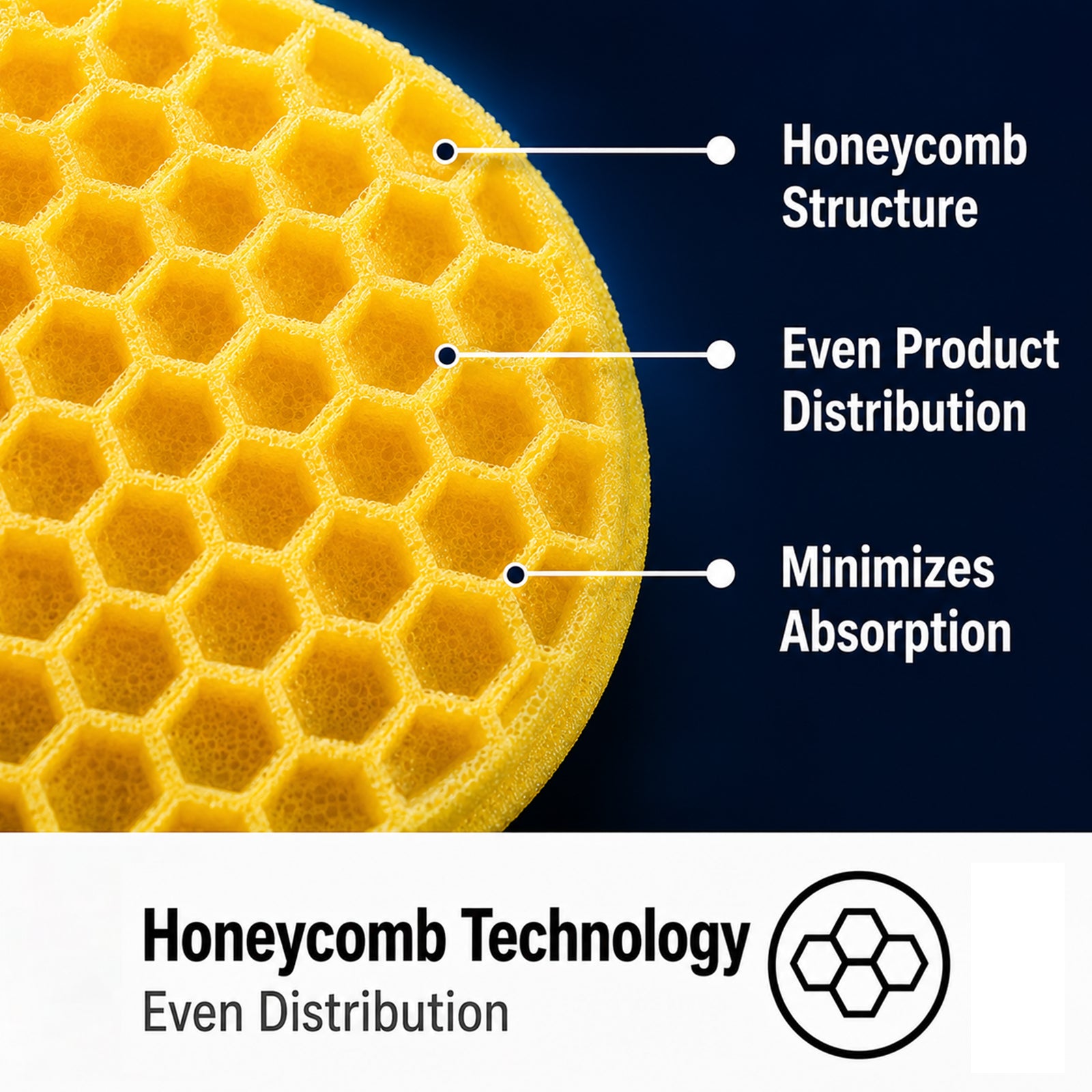 Yellow Round Sponge