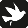 Bird Droppings